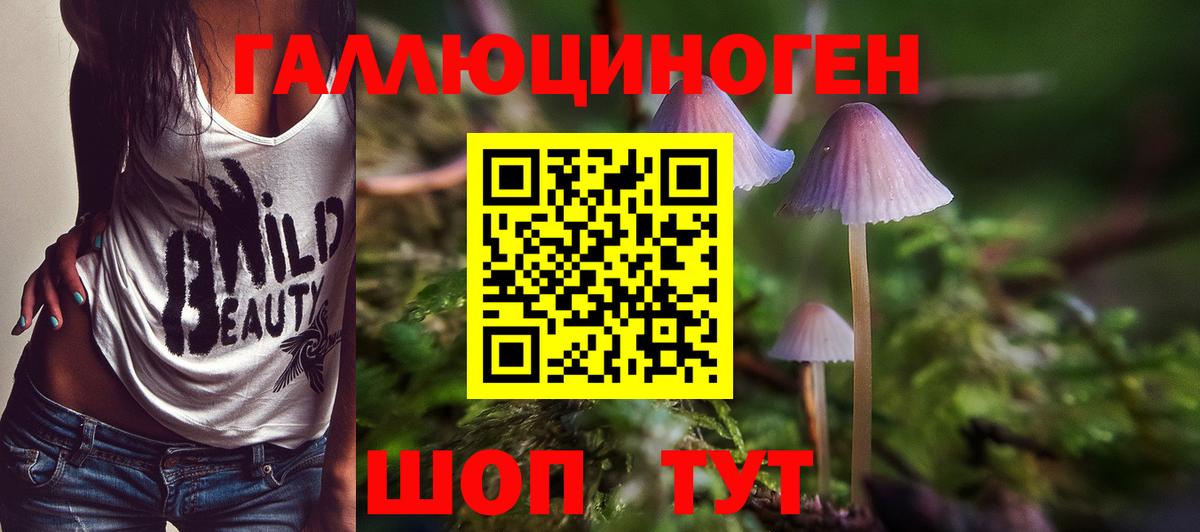 Alpha-PVP Димитровград