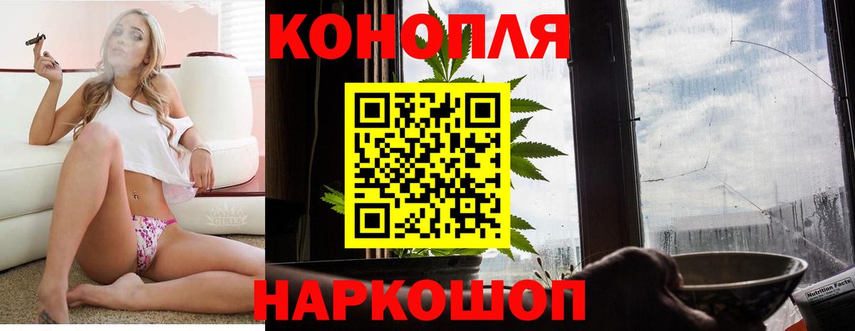 Димитровград  Бошки Шишки MAZAR  Вход с VPN  Конопля Amnesia 